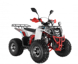 Квадроцикл Wels ATV THUNDER EVO 125 Х s-dostavka Белый  - Спортивный тренажерный интернет магазин Кумитеспорт