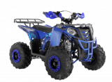 Квадроцикл Wels ATV THUNDER EVO 125 s-dostavka Синий - Спортивный тренажерный интернет магазин Кумитеспорт