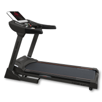 BRONZE GYM T812 LC     -     