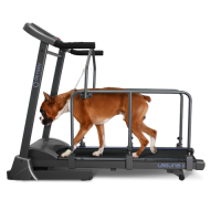   OXYGEN LAGUNA II ML DOGGIE EDITION  -     