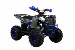  Wels ATV THUNDER EVO 125 s-dostavka  -     