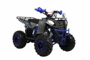  Wels ATV THUNDER EVO 125 X ST s-dostavka -     