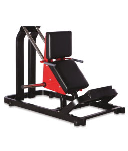 - BRONZE GYM   A-00      -     