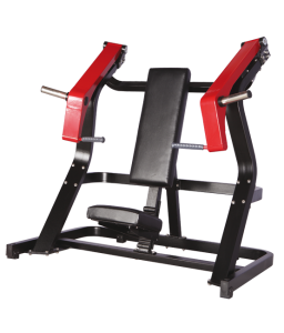      BRONZE GYM   A-02 -     