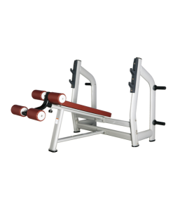       BRONZE GYM   H-024      -     