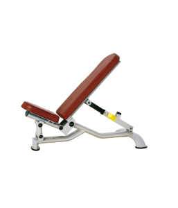        BRONZE GYM   H-037 -     