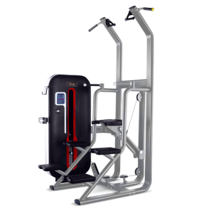 /   BRONZE GYM   MT-008  -     